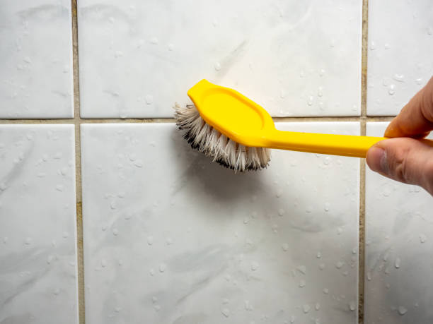 Best Commercial Mold Removal  in Carleton, MI