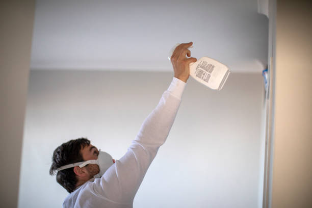 Best Emergency Mold Removal  in Carleton, MI