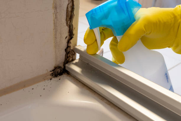 Best Mold Cleaning Services  in Carleton, MI
