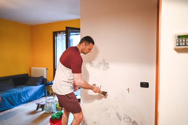 Best Mold Removal Near Me  in Carleton, MI