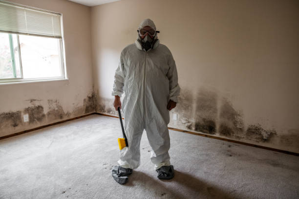 Best Black Mold Removal  in Carleton, MI